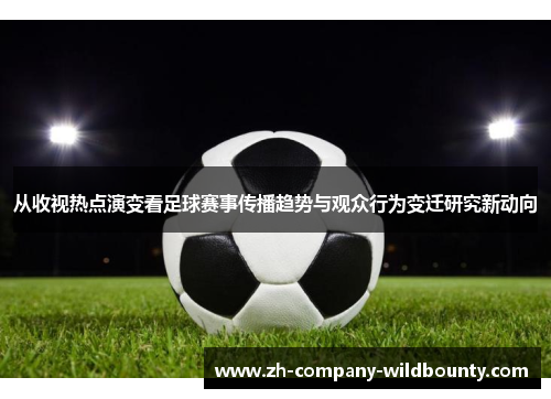 从收视热点演变看足球赛事传播趋势与观众行为变迁研究新动向