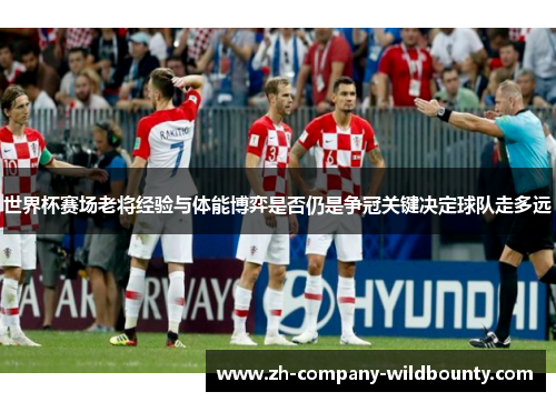 世界杯赛场老将经验与体能博弈是否仍是争冠关键决定球队走多远