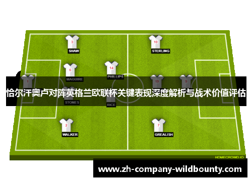 恰尔汗奥卢对阵英格兰欧联杯关键表现深度解析与战术价值评估