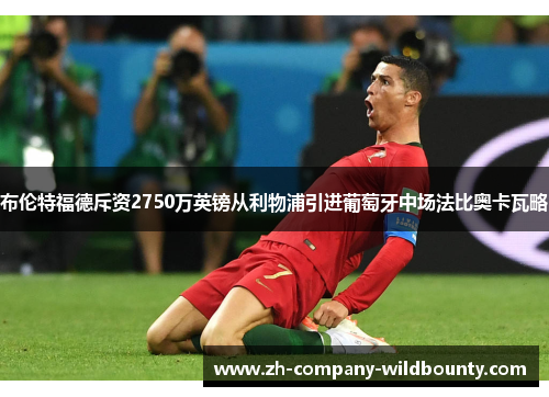 布伦特福德斥资2750万英镑从利物浦引进葡萄牙中场法比奥卡瓦略 布伦特福德斥资2750万英镑从利物浦引进葡萄牙中场法比奥卡瓦略