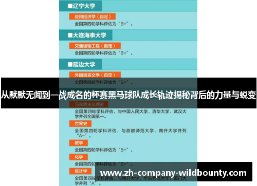 从默默无闻到一战成名的杯赛黑马球队成长轨迹揭秘背后的力量与蜕变