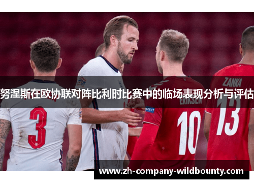 努涅斯在欧协联对阵比利时比赛中的临场表现分析与评估